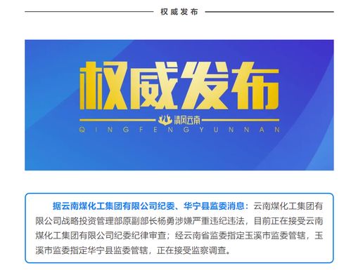 云南煤化工集團戰(zhàn)略投資管理部原副部長楊勇接受審查調查