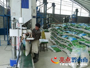 晴隆 總投資800萬(wàn)元琳隆薏仁米加工廠建成投產(chǎn)