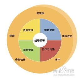 項目管理的分類